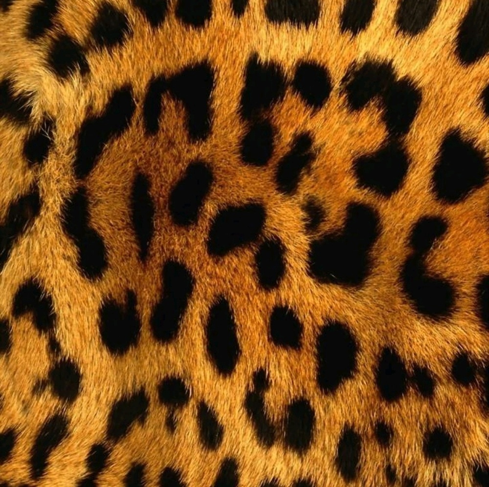 Meet your Posher, Vintage Girl!